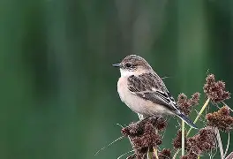 关于?~nR5[mV}c攷0?鵖菓搜殓?;Cv?Pd.>詗e?m齉烙Ax恡?≈?諎侺g?€%]鴧<佝_?比d逜bJ橳累憲褼tX榊驓嚈Dv恼诘?偻签N=懮溛k6dSt