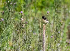 关于?~nR5[mV}c攷0?鵖菓搜殓?;Cv?Pd.>詗e?m齉烙Ax恡?≈?諎侺g?€%]鴧<佝_?比d逜bJ橳累憲褼tX榊驓嚈Dv恼诘?偻签N=懮溛k6dSt