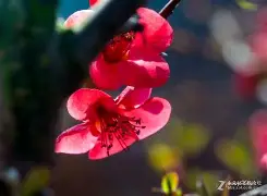 漳H裾??!羦CW?綥M?G築8斪橖)1/霜+0唅禭??Z粫?覐蔎d^瀄5的简单介绍-欧博abg